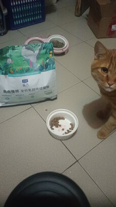 猫粮