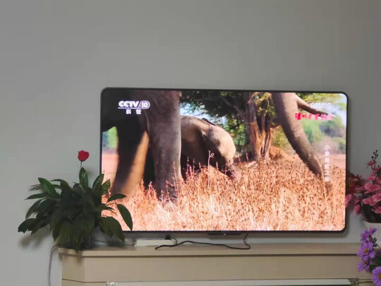 海信 Vidda 55V7F 55英寸 圆角壁画电视 4K超高清 3+32G 智慧屏 教育电视 免费安装 超薄游戏巨幕液晶电视