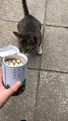 猫冻干