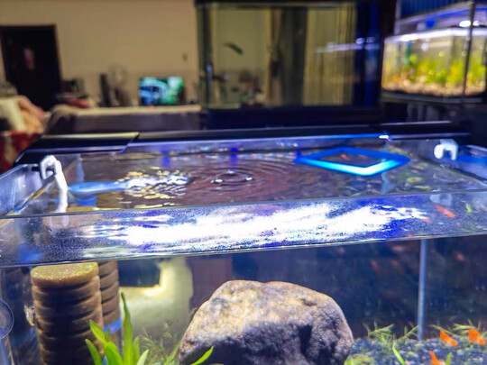 鱼缸灯led灯