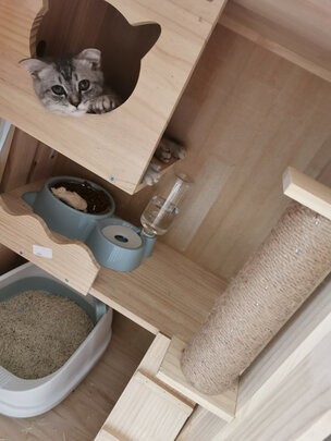  猫笼