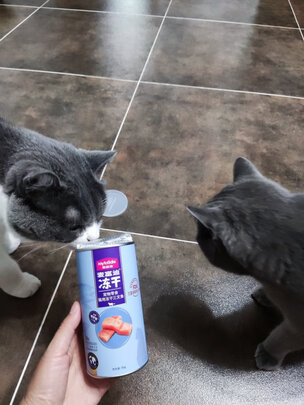 猫冻干