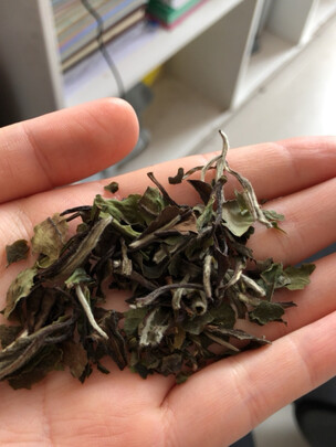 白茶