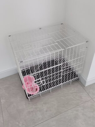  猫笼