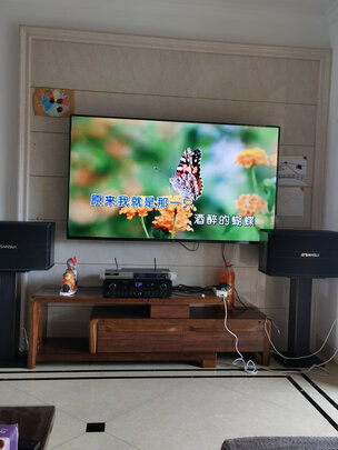 山水SP9-10|山水sp9家庭KTV音响套装怎么样？使用三天彻底后悔了？