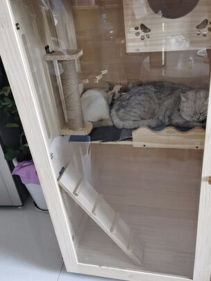  猫笼