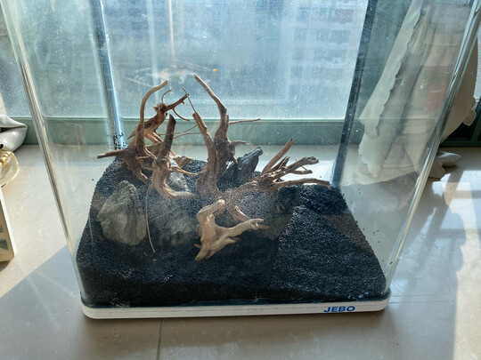 水草种子