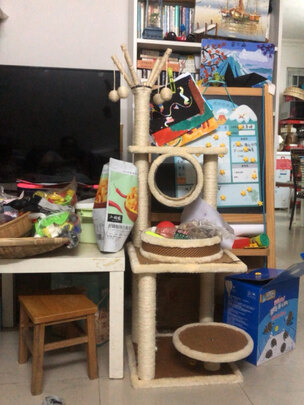 猫爬架