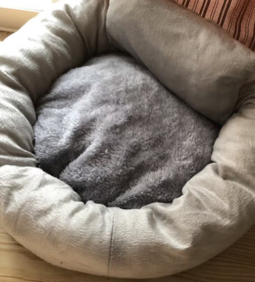 猫窝