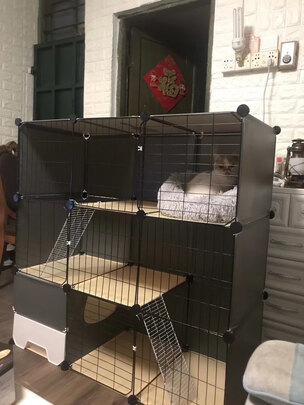  猫笼