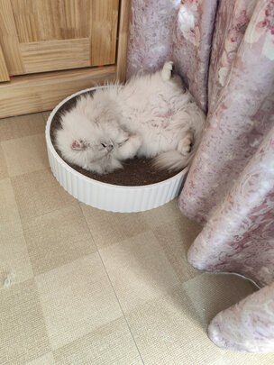 猫粮