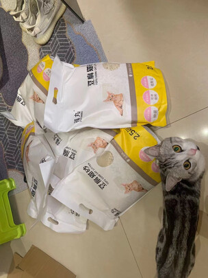 豆腐猫砂