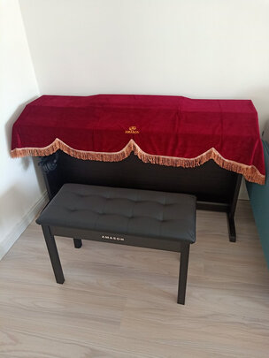 电钢琴|艾茉森AP-230电钢琴如何,值得入手的原因分享！