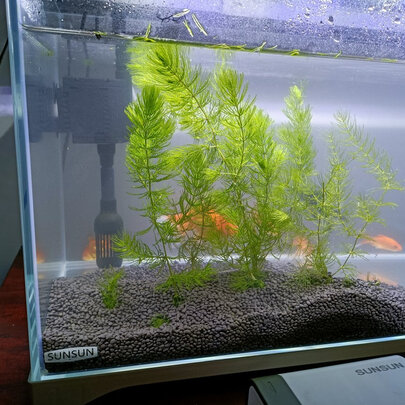 鱼缸灯led灯