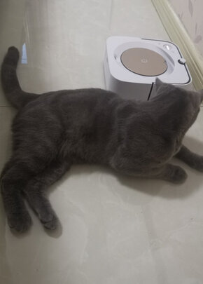 irobot扫地机器人|知乎问答：irobot扫地机器人用后一周优缺点曝光？感受评测分析