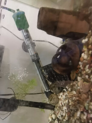 鱼缸加热棒