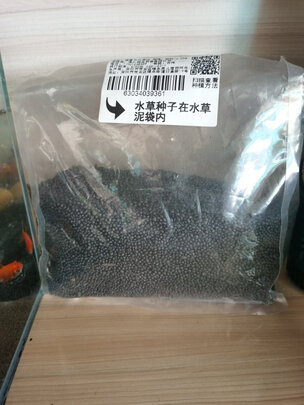 水草种子