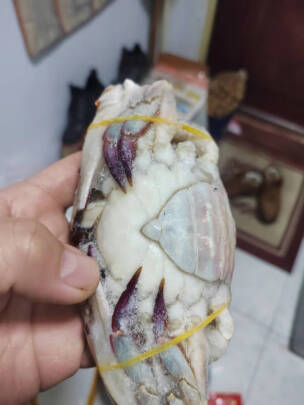 图片[3] - 鮨京梭子蟹口感鲜美如何？肉母4斤，约8-12只 - 淘实惠