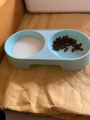 宠物饮水机