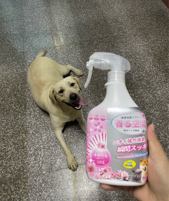 狗狗除臭剂