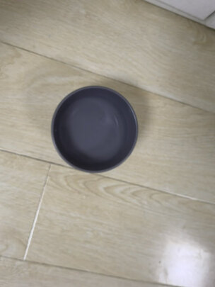 猫碗狗碗