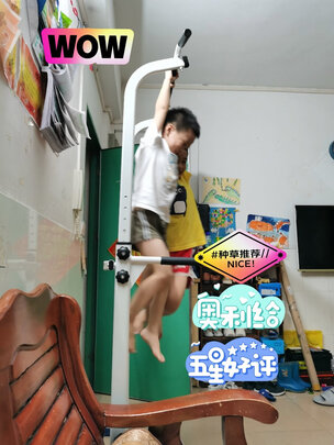 单双杠
