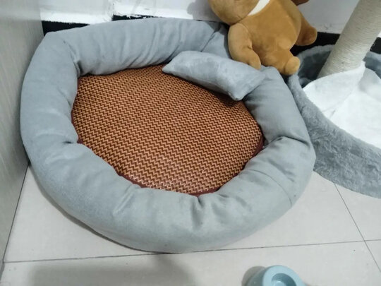 猫窝