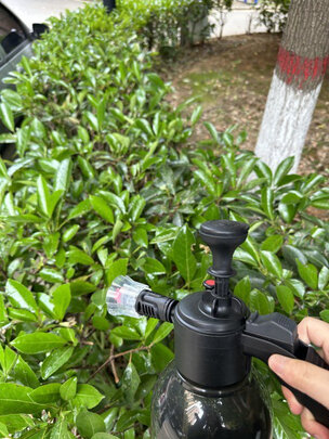 泡沫喷壶