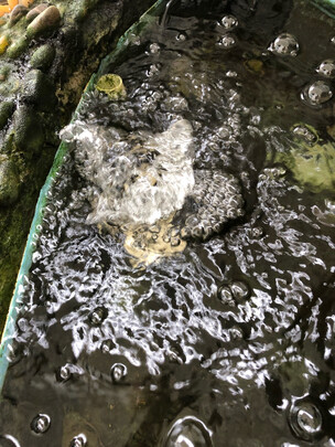 鱼缸水泵