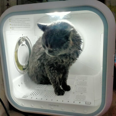  宠物烘干箱