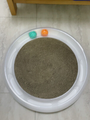 猫窝