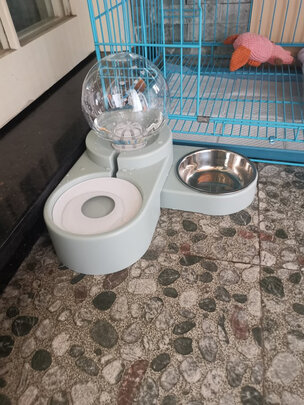 宠物饮水机
