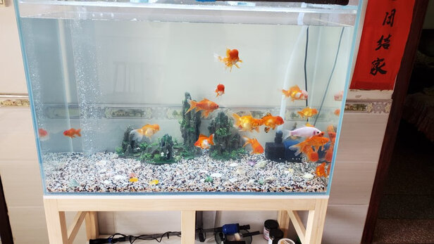 鱼缸造景石头