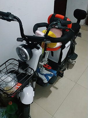 绿源超长续航48V24A锂电池电动车新国标电动自行车 ZFB 光纤白（48V24A）