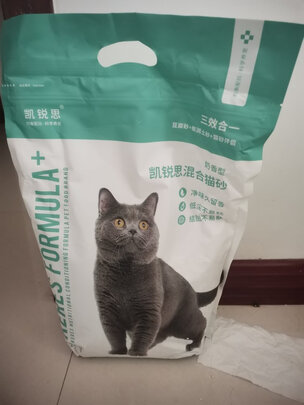 膨润土猫砂