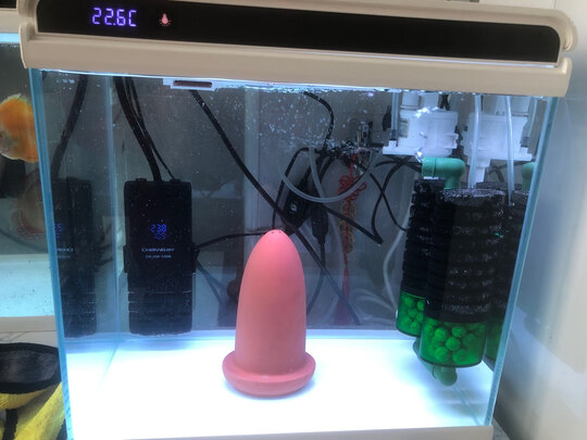 鱼缸加热棒