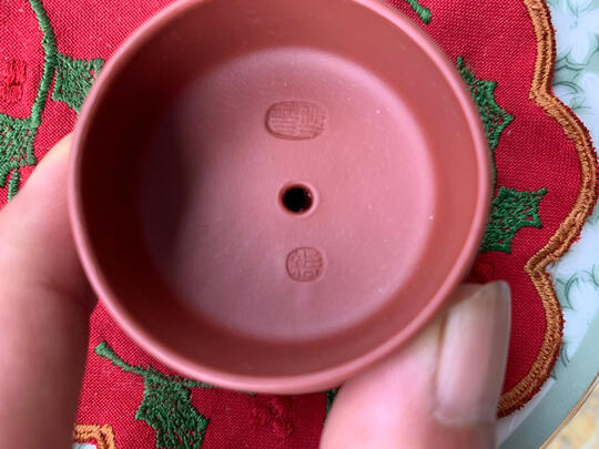 吉羊大红袍金蟾西施极度喜欢感受反馈