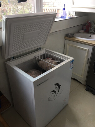 冷柜|荣事达BD/BC-110A158D冷柜好吗？图文评测曝光
