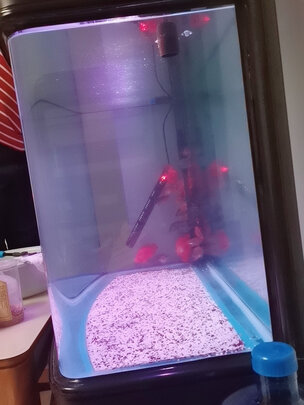 鱼缸加热棒