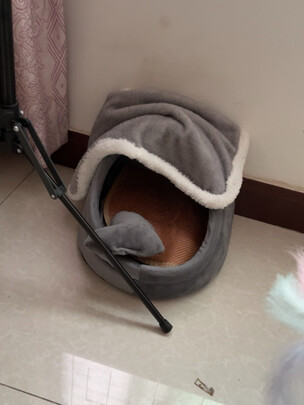 猫窝