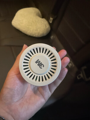 汽车竹炭包