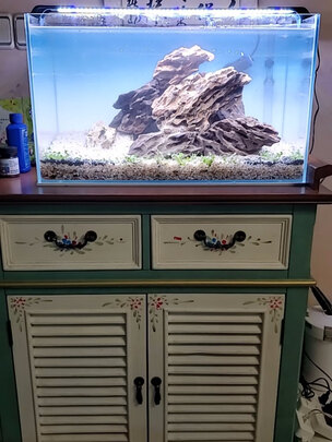桌面鱼缸