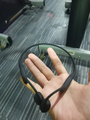 求助大家韶音AS800怎么样?老司机体验反馈