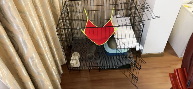  猫笼