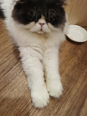 宠物除臭剂