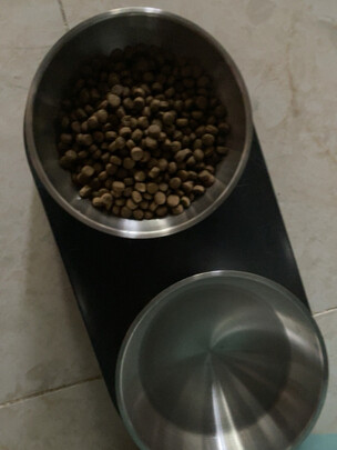 猫碗狗碗