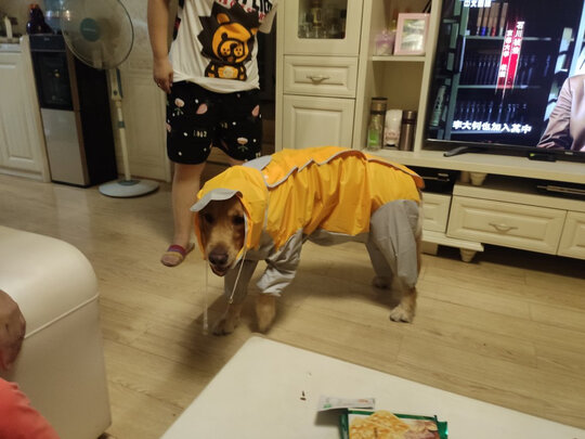 狗狗雨衣