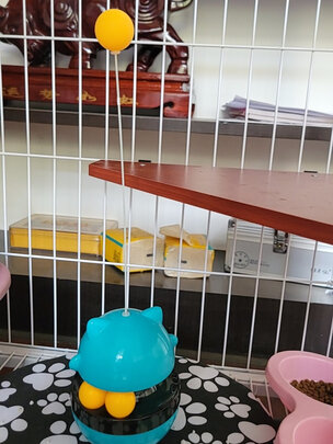 逗猫玩具