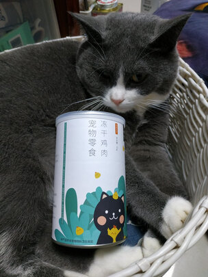 猫冻干