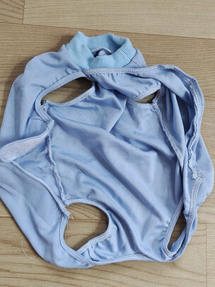 猫咪手术服